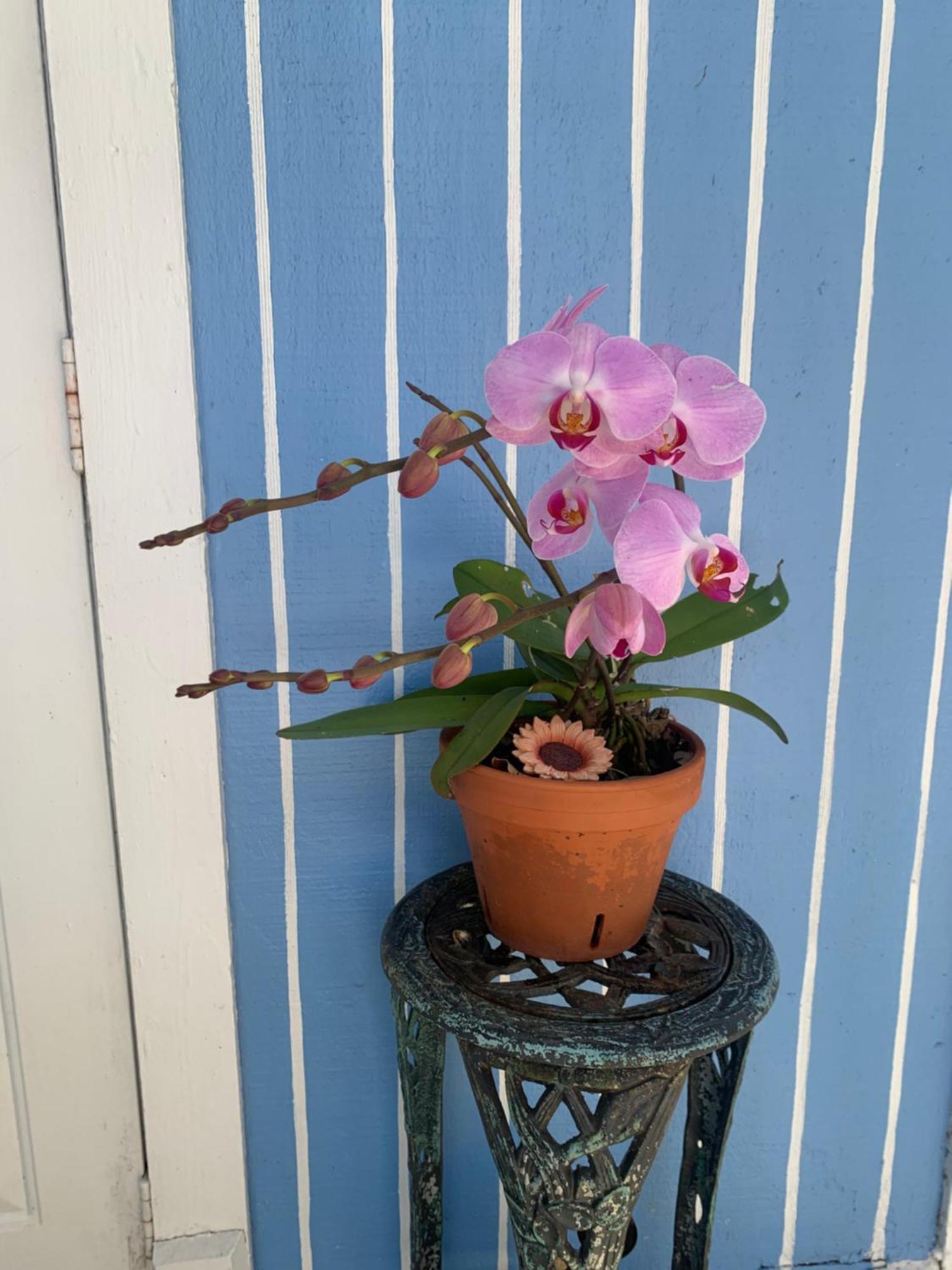 Mini Studio: 10 Min/Siesta Key/Private Entrance/ Sarasota Ngoại thất bức ảnh